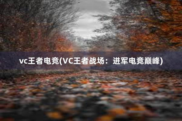 vc王者电竞(VC王者战场：进军电竞巅峰)