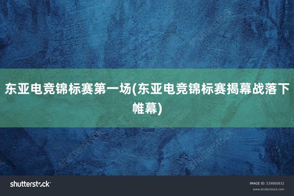 东亚电竞锦标赛第一场(东亚电竞锦标赛揭幕战落下帷幕)