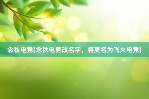 念秋电竞(念秋电竞改名字，将更名为飞火电竞)