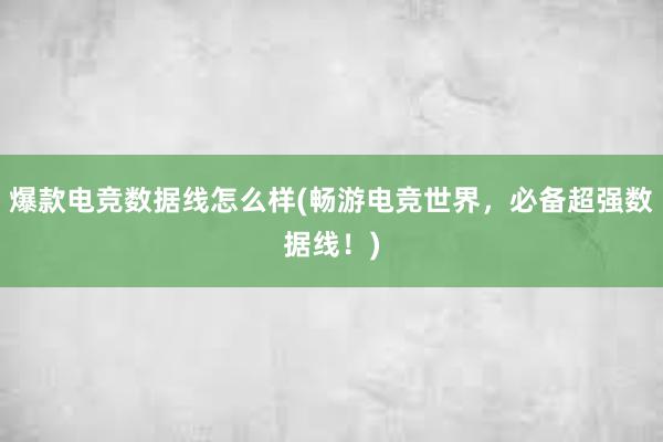 爆款电竞数据线怎么样(畅游电竞世界，必备超强数据线！)