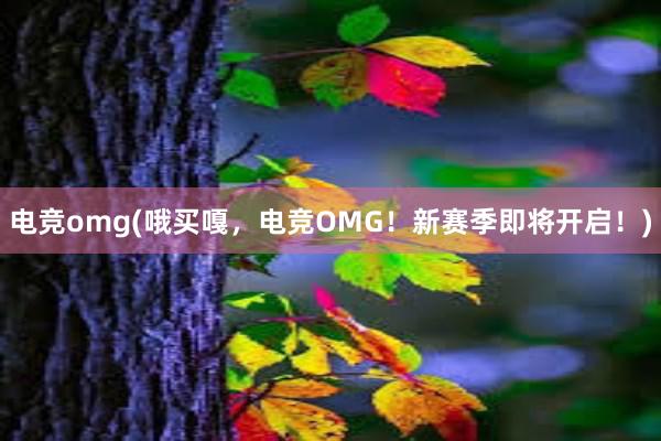 电竞omg(哦买嘎，电竞OMG！新赛季即将开启！)