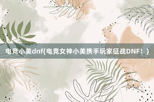 电竞小美dnf(电竞女神小美携手玩家征战DNF！)