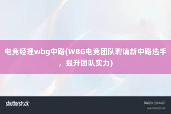 电竞经理wbg中路(WBG电竞团队聘请新中路选手，提升团队实力)