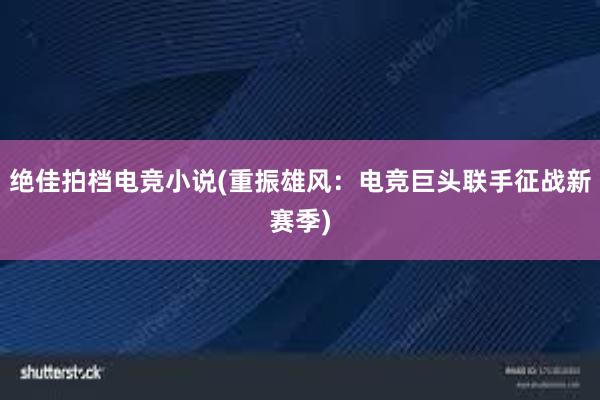 绝佳拍档电竞小说(重振雄风：电竞巨头联手征战新赛季)