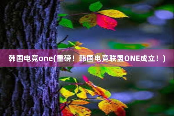 韩国电竞one(重磅！韩国电竞联盟ONE成立！)