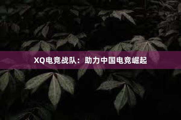 XQ电竞战队：助力中国电竞崛起