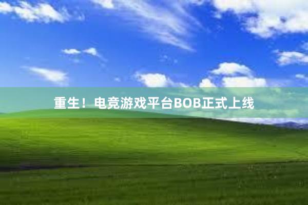 重生！电竞游戏平台BOB正式上线