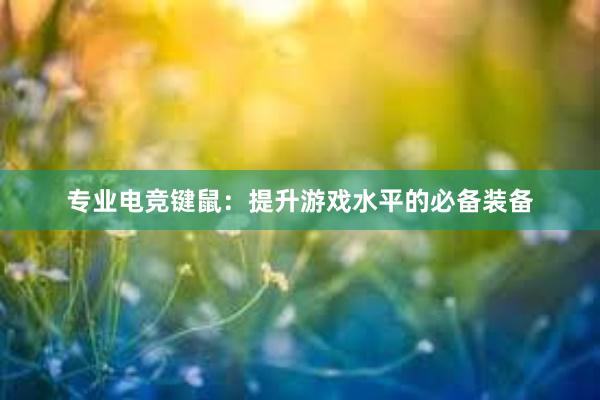 专业电竞键鼠：提升游戏水平的必备装备