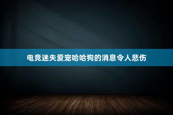 电竞迷失爱宠哈哈狗的消息令人悲伤