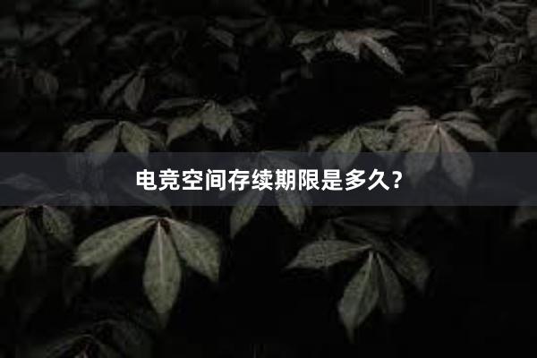 电竞空间存续期限是多久？